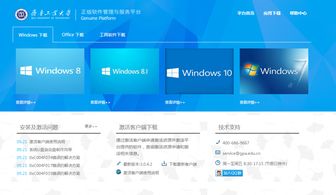 關(guān)于啟用微軟正版化軟件服務(wù)及數(shù)字工大信息門戶升級(jí)的通知